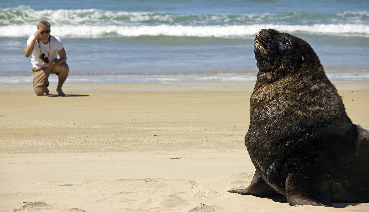 me-with-seal-nz