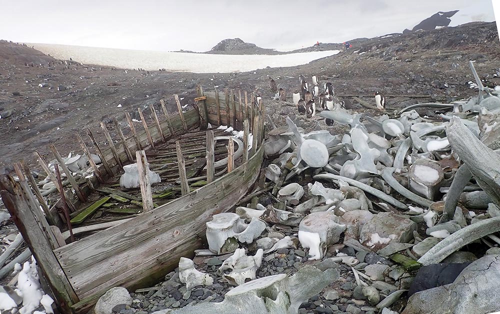 antarctic-penisusula-boat-history