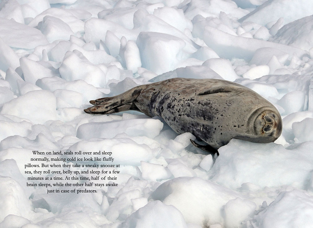 antarctic book page 71