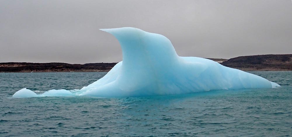 arctic-ice-shape-fin