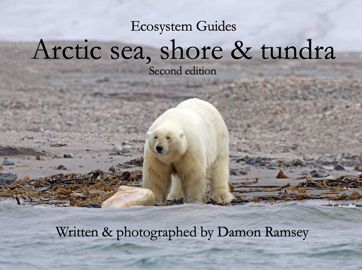 arctic-book-cover-second-editiion-2