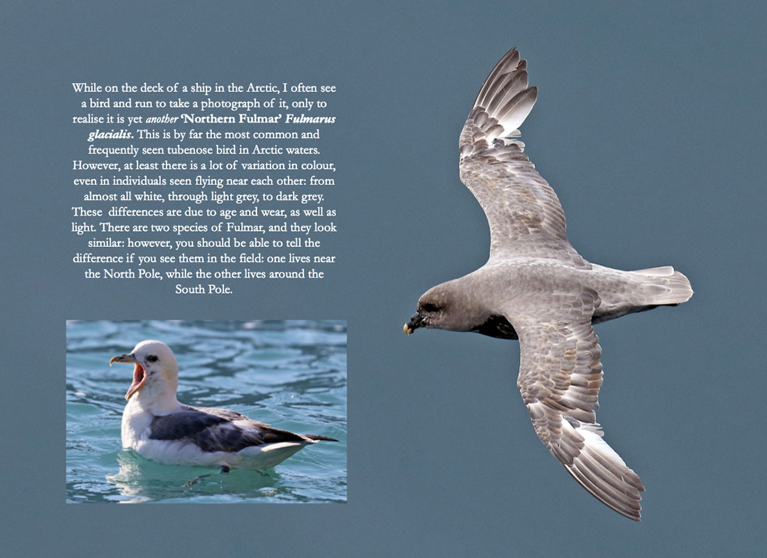 arctic-book-page-87