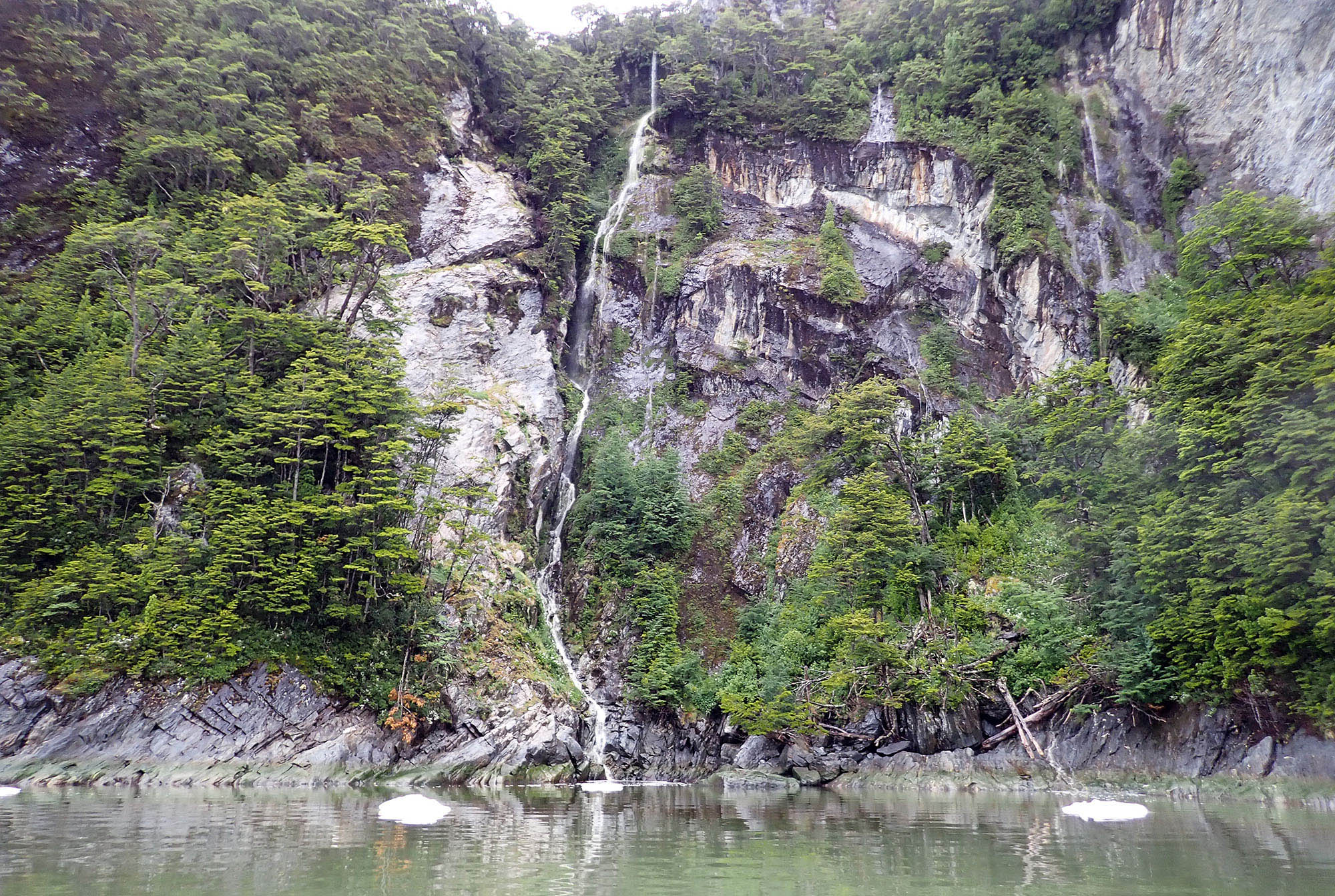 forest-rainfall-garibaldi