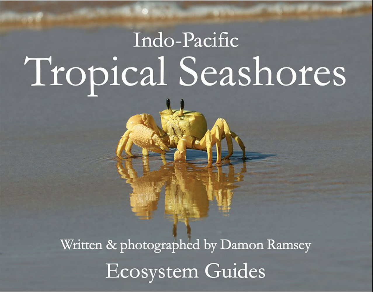 indo-pacific-tropical-seashores-book-cover- indo-pacific-tropical-seashores-book-cover-