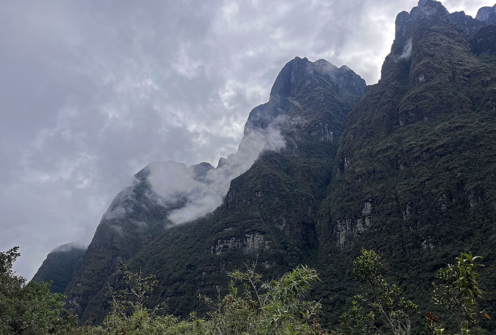 jucumari-mountain-mist