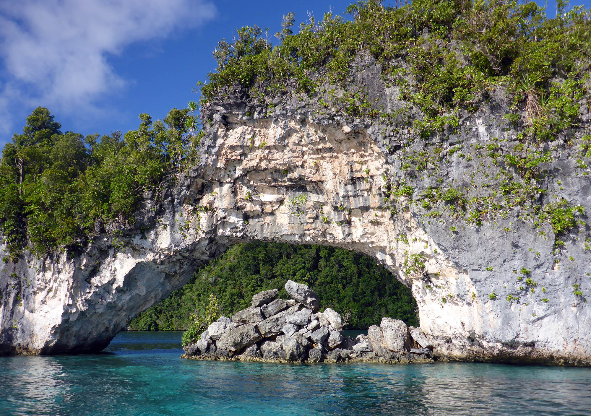 palau-bridge