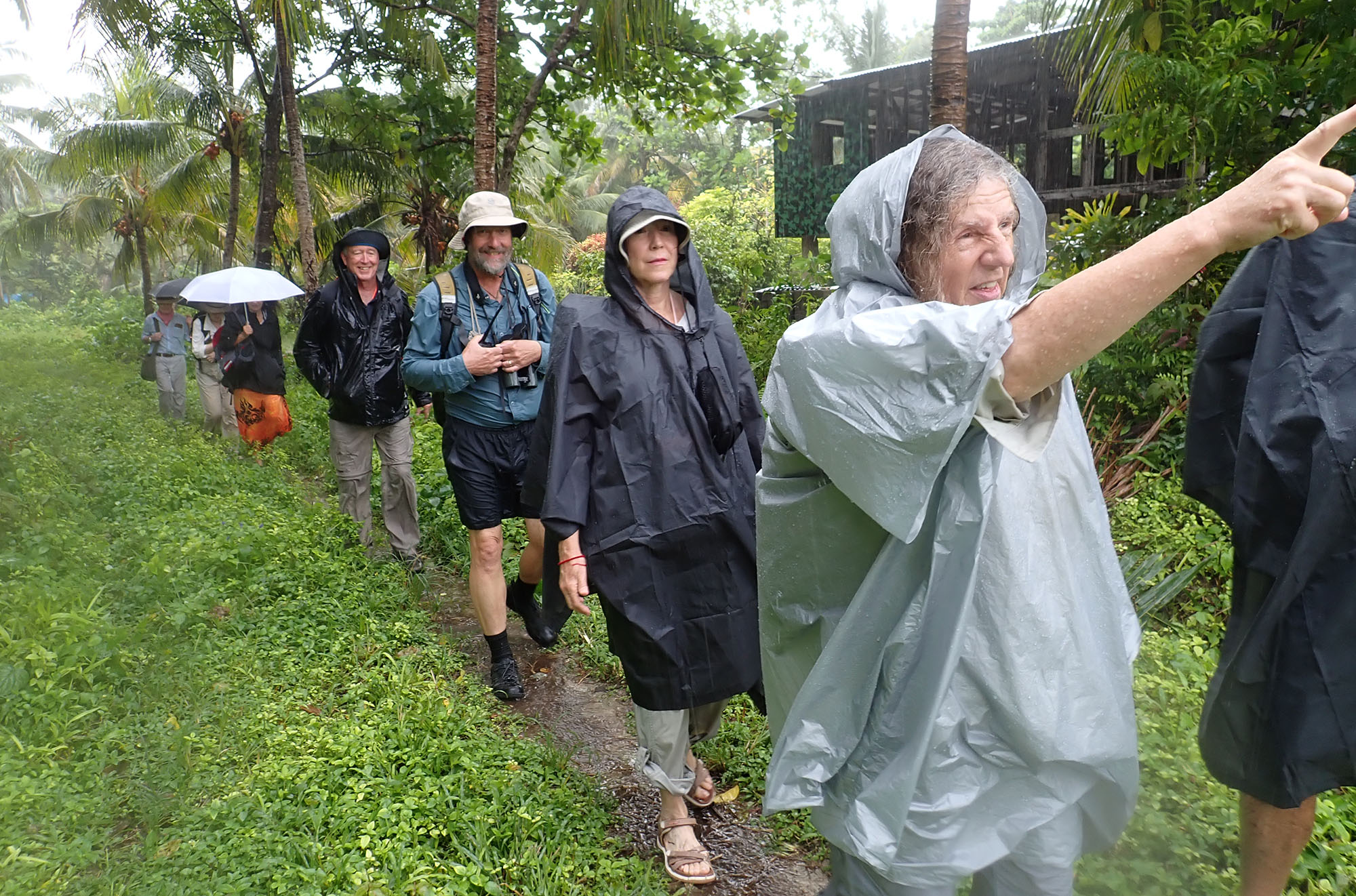 rainforest-walk-santa-ana-
