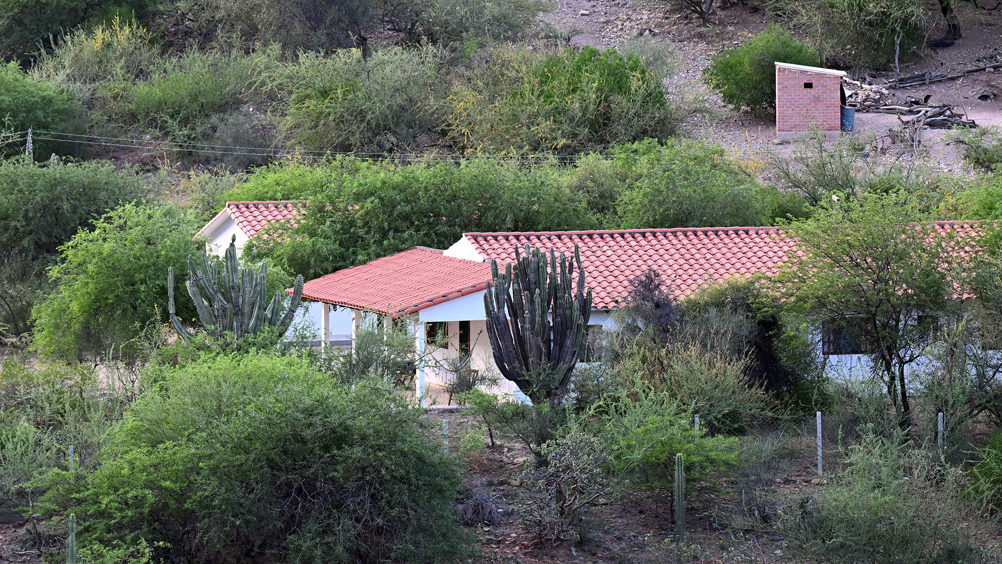red-fronted-macaw-lodge- red-fronted-macaw-lodge-