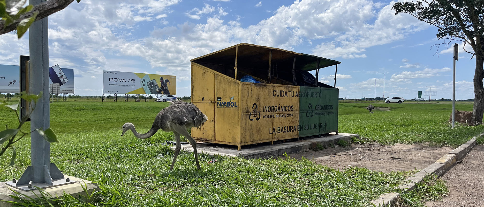 rhea-at-santa-cruz-airport-