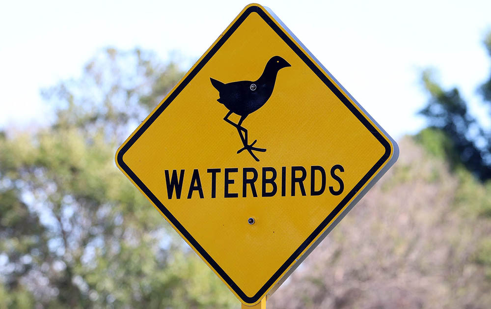 sign-herdsman