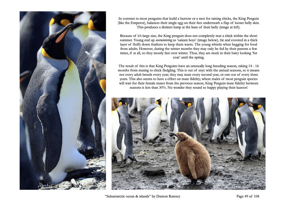 subantarctic-book-page-49