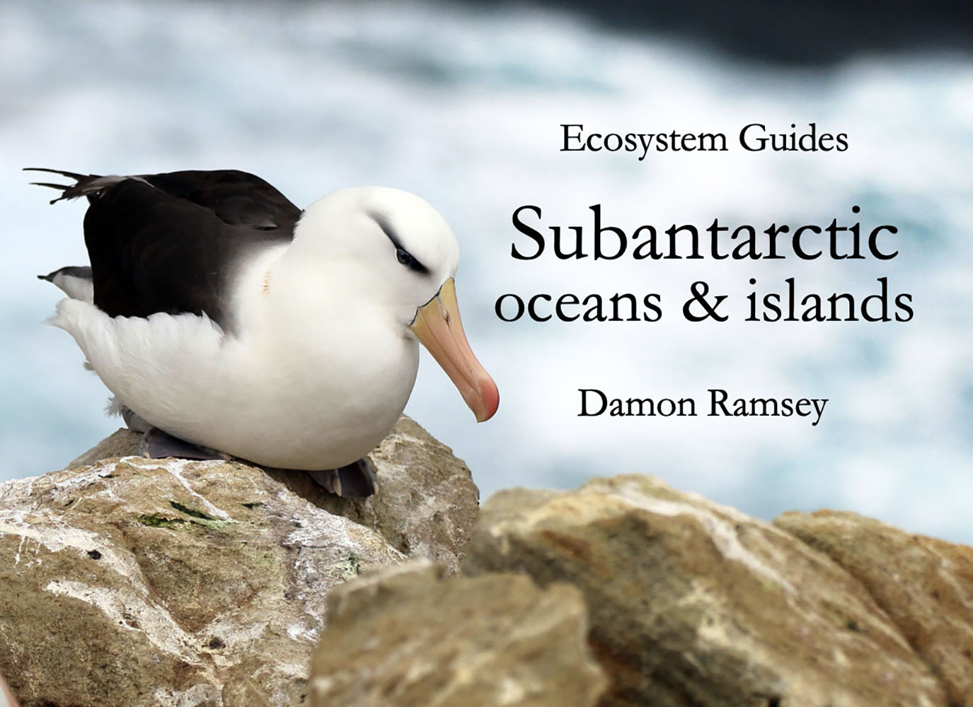 subantarctic-book-cover