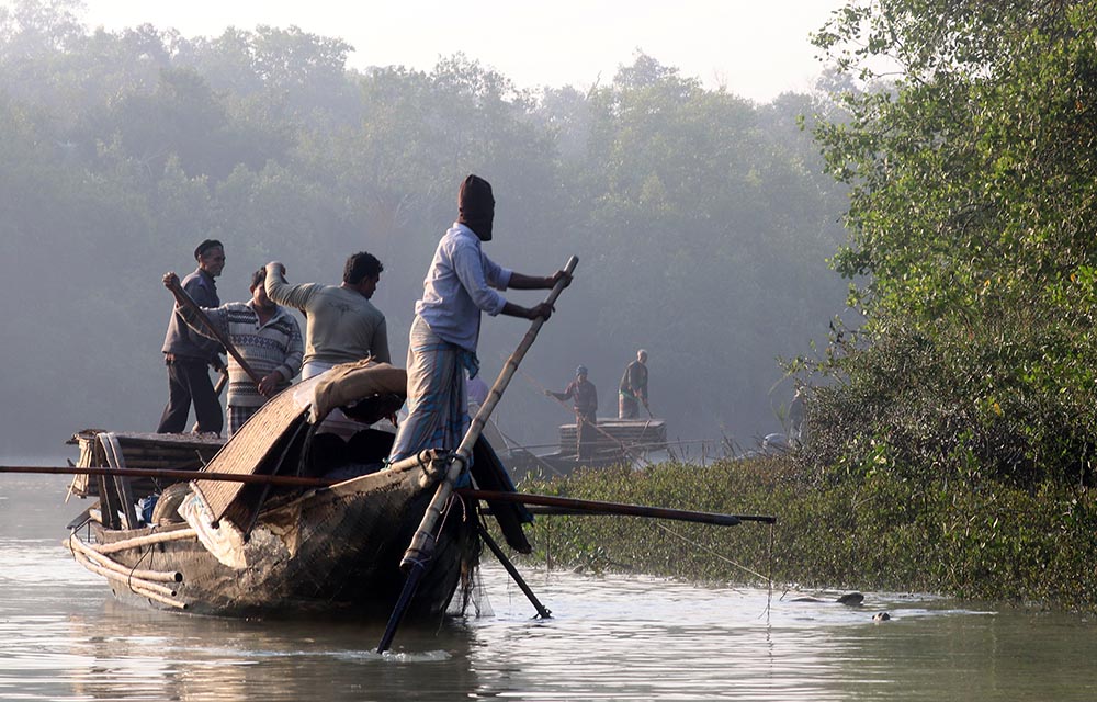 Fishing with otters in the Sundarbans, Bangladesh (image by Damon Ramsey)