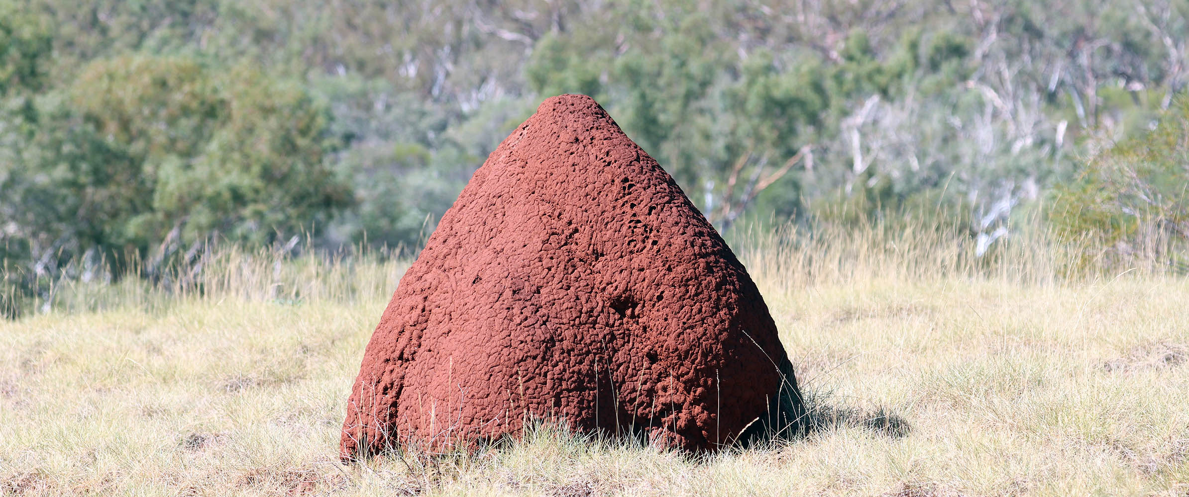 termiote-mound-millstream