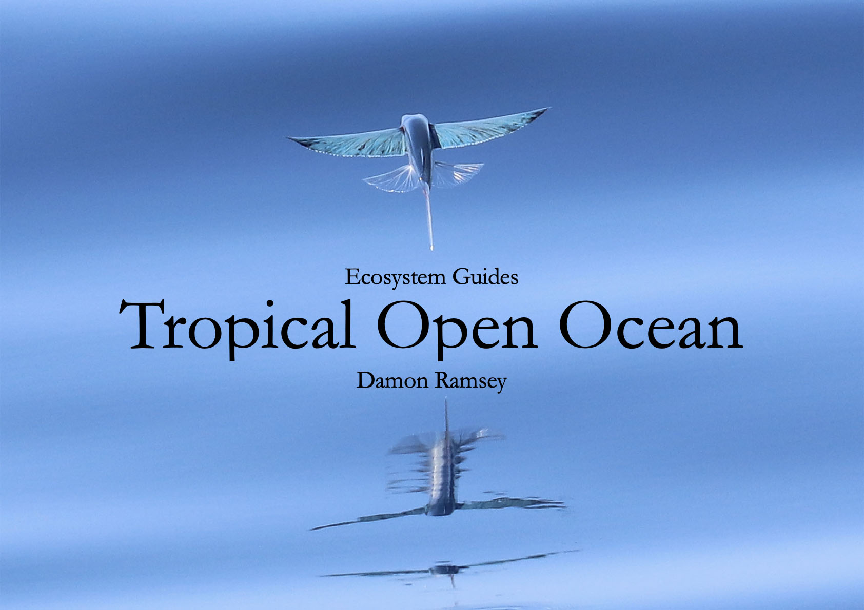tropical-open-ocean-cover