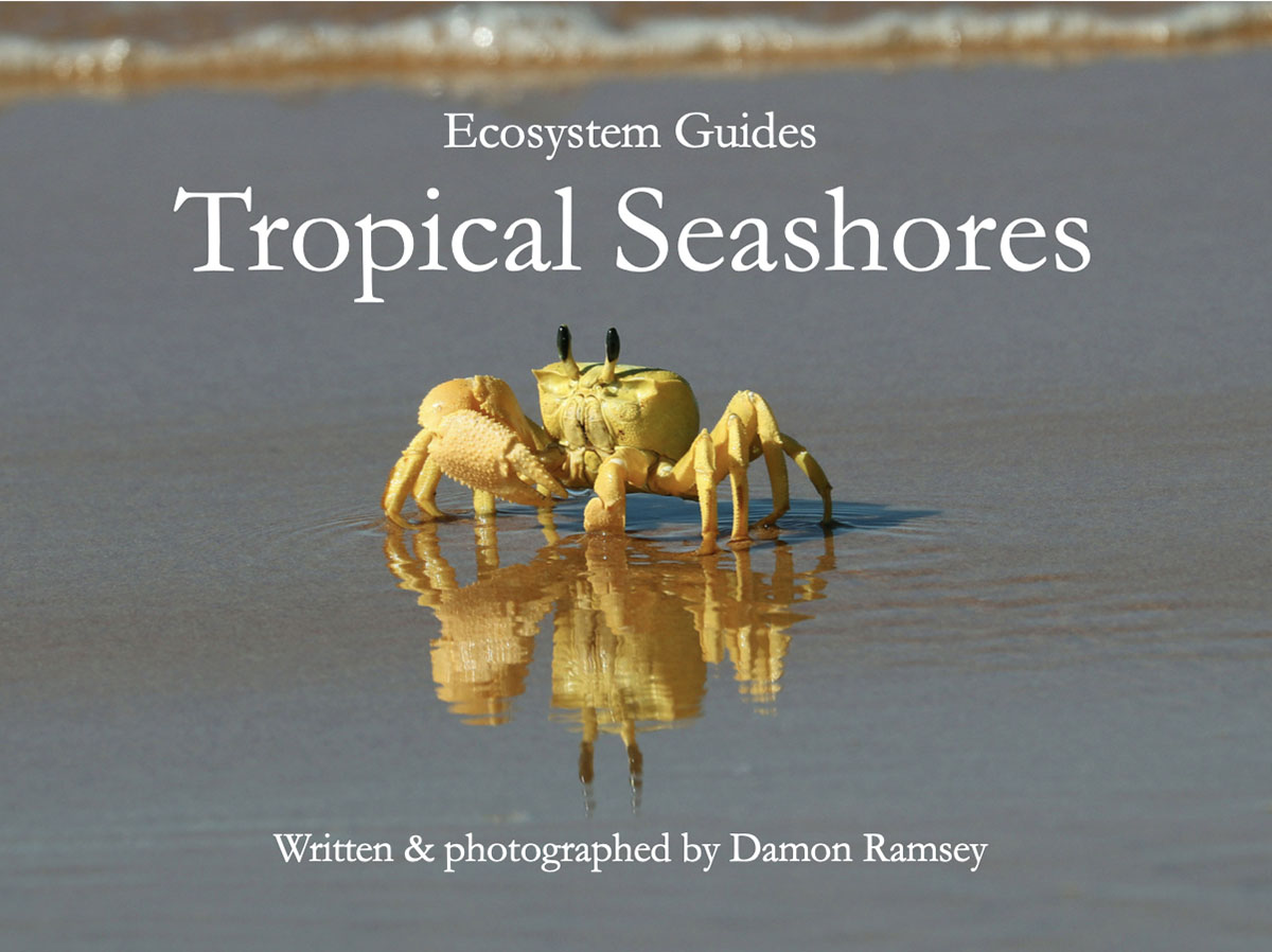 tropical-seashores-cover-2-