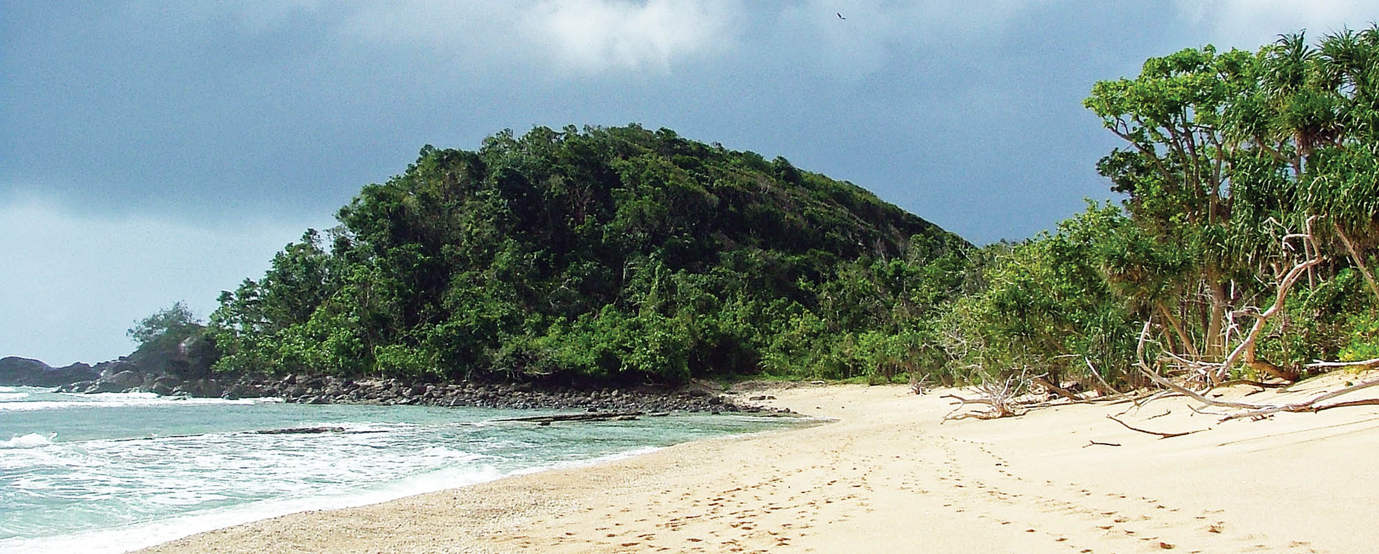 tropical-beach