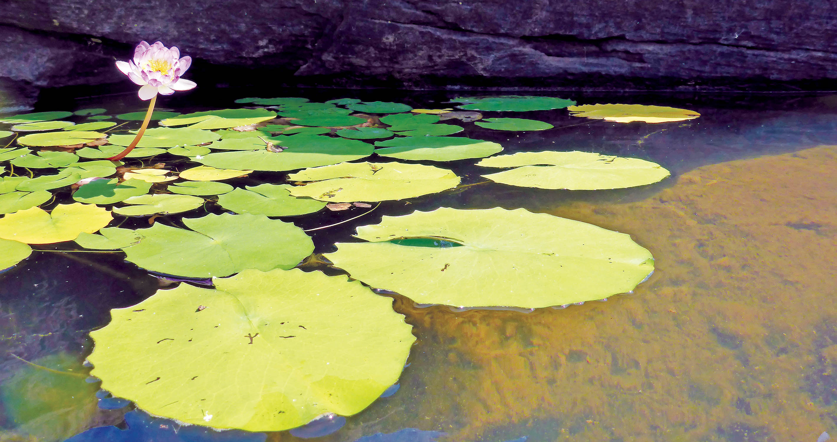 undferwater-time-mitchell-
