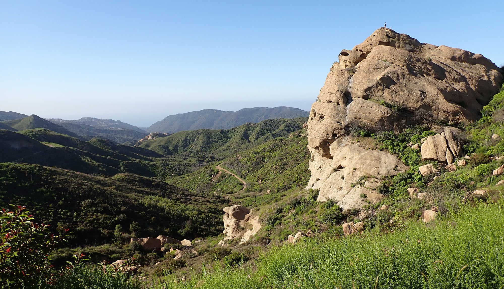 habitat-chaparral-topanga-