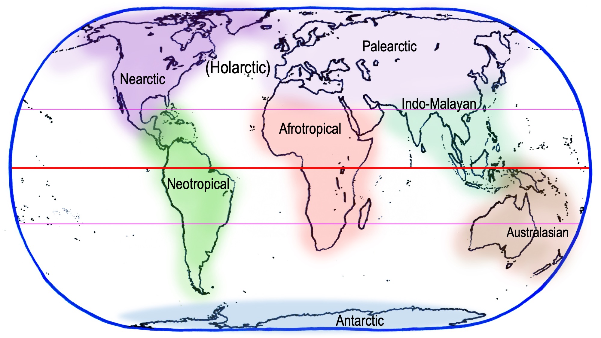 biogeographical-map-world-damon-ramsey biogeographical-map-world-damon-ramsey