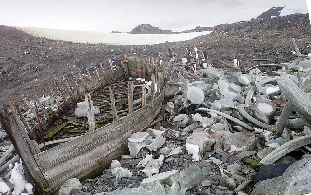 antarctic-penisusula-boat-history