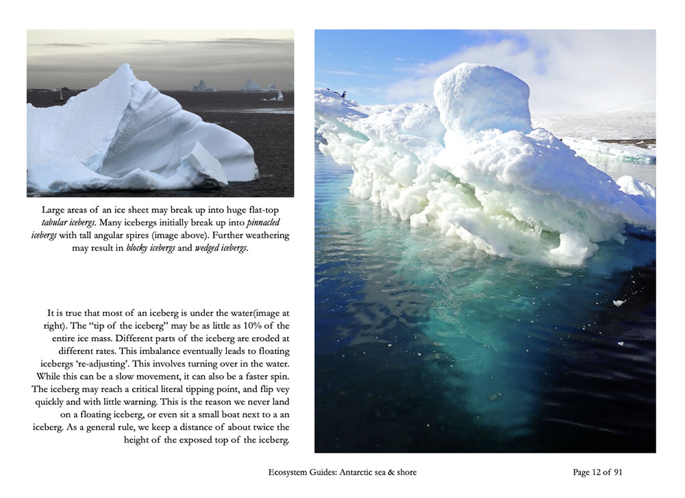 antarctic book page 12