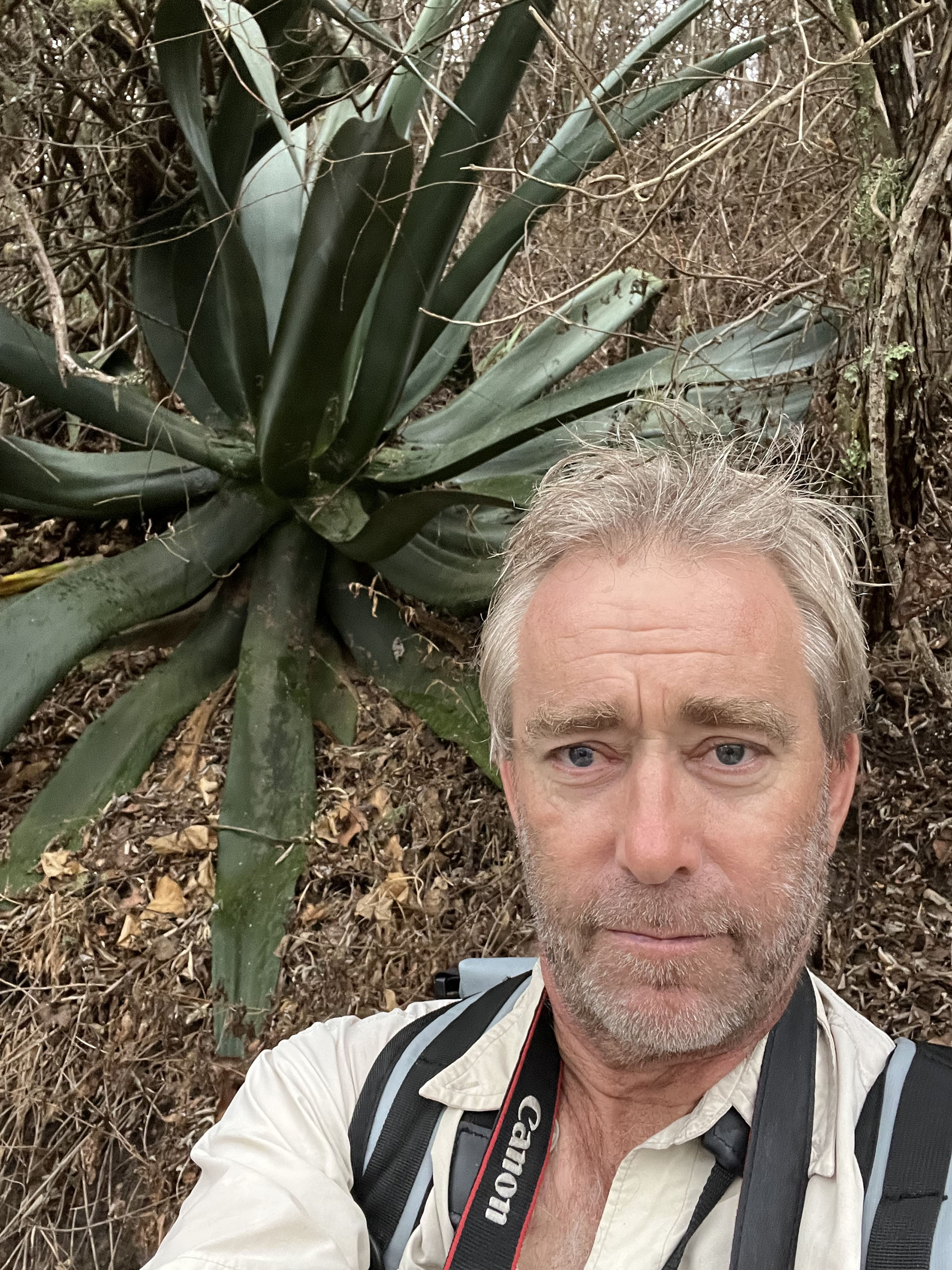 damon-ramsey-agave-mexico