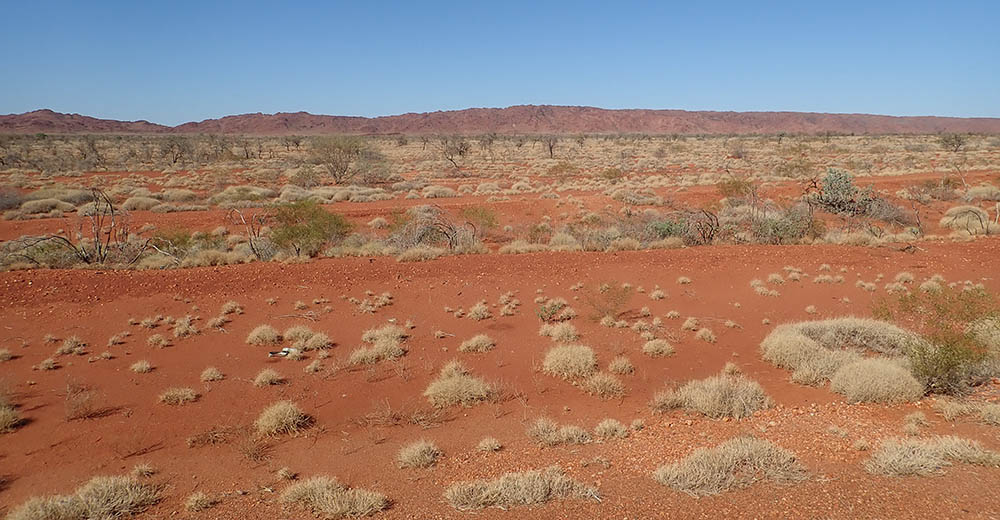 red sand of desert