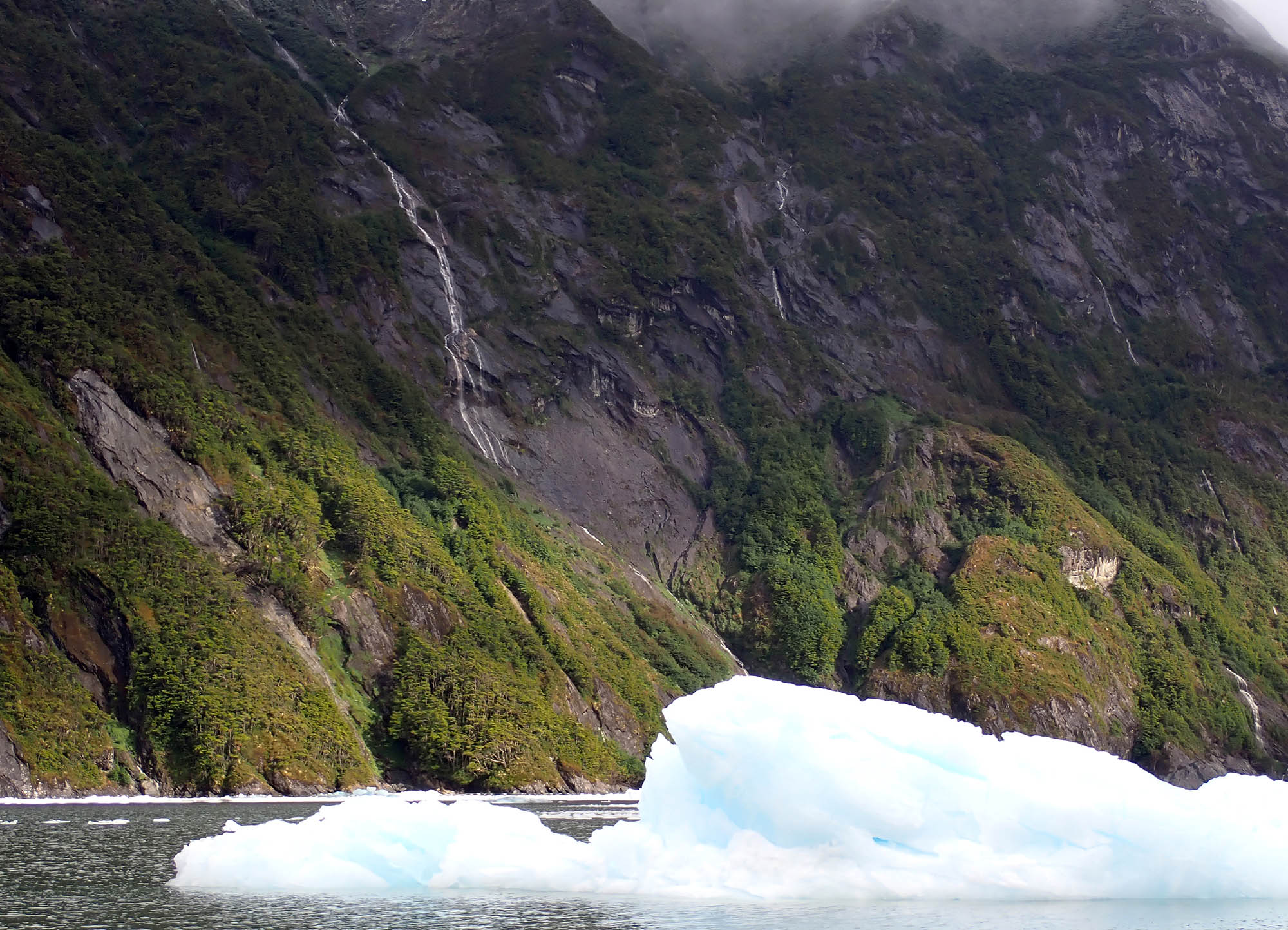 forest-with-iceberg-garibaldi