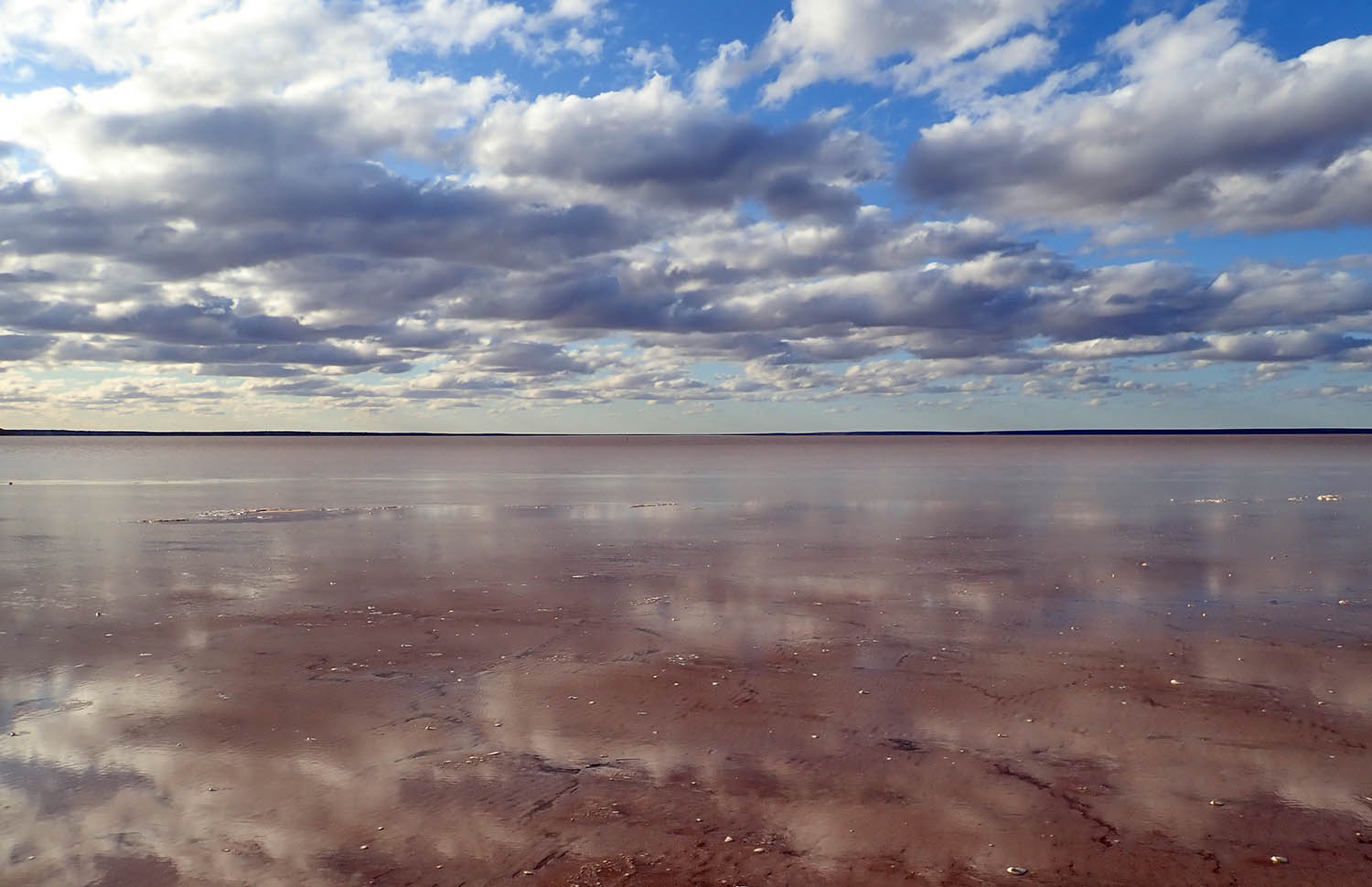 desert lake full of water