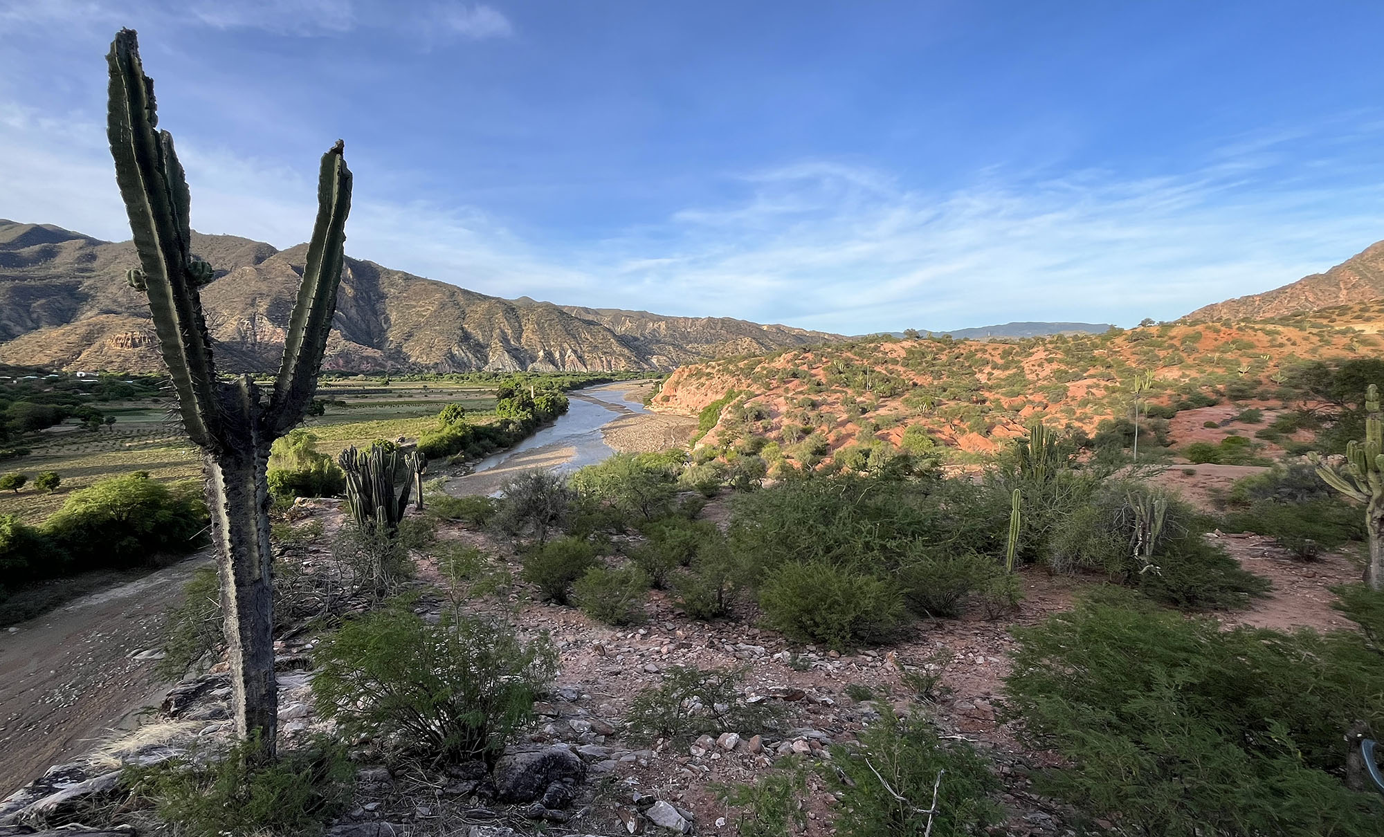 inter-andean-valleys-landscape-cactus-river