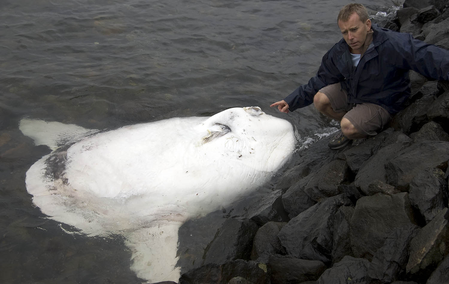 me-with-sunfish