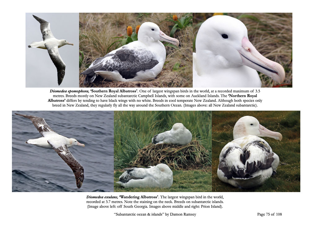 subantarctic-book-page-75