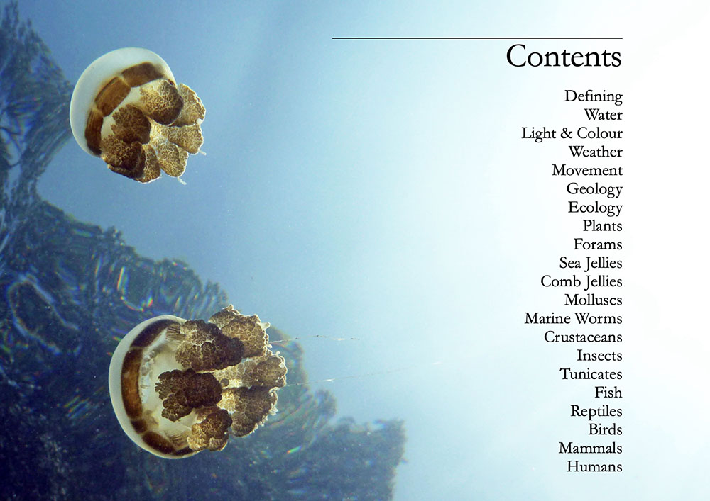 tropical-open-ocean-book-contents