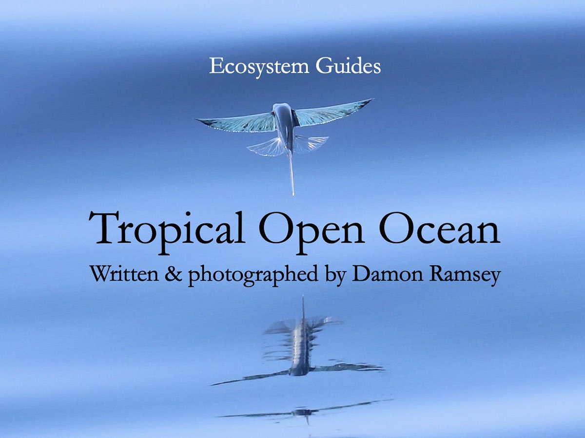 book-tropical-open-ocean-cover-b