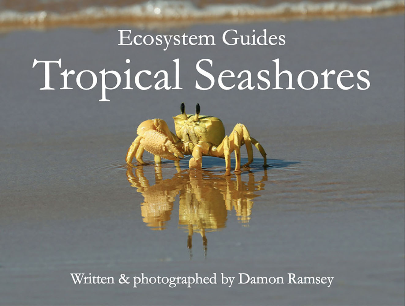tropical-seashores-book-cover