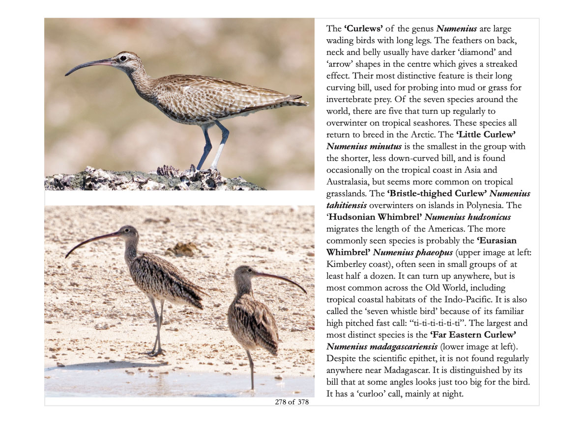 book-tropical-seashores-278