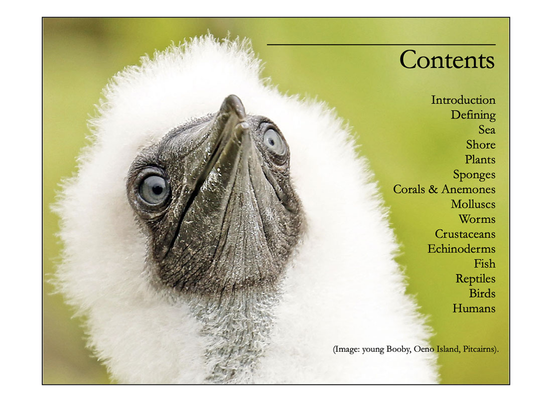 book-tropical-seashores-4