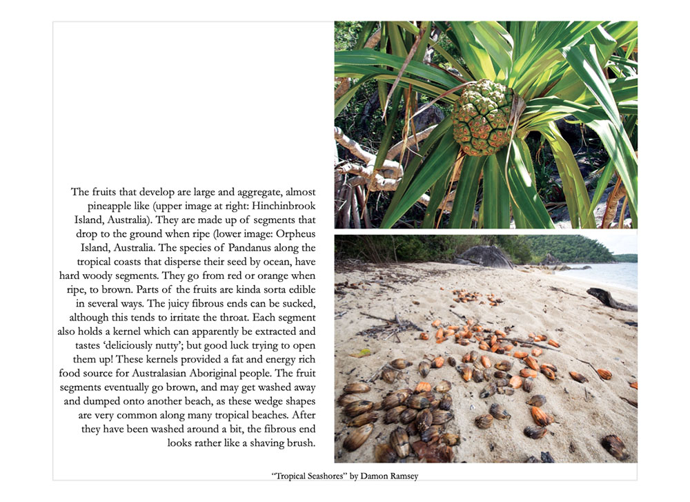 book-tropical-seashores-51