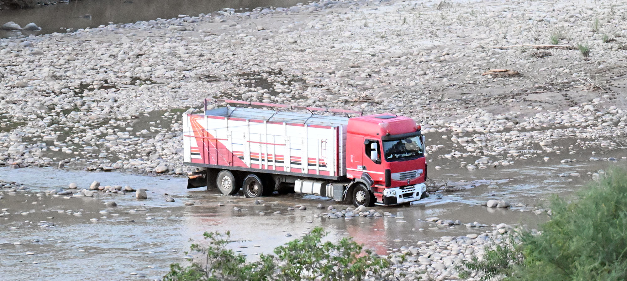 red-fronted-macaw-lodge-river-crossing- red-fronted-macaw-lodge-river-crossing-